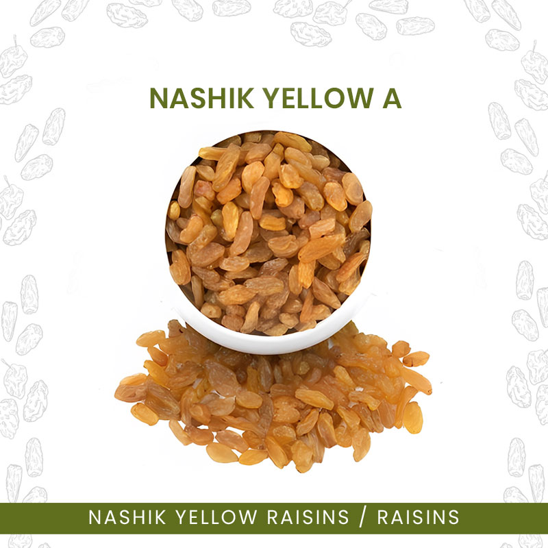 Nashik-Yellow-A