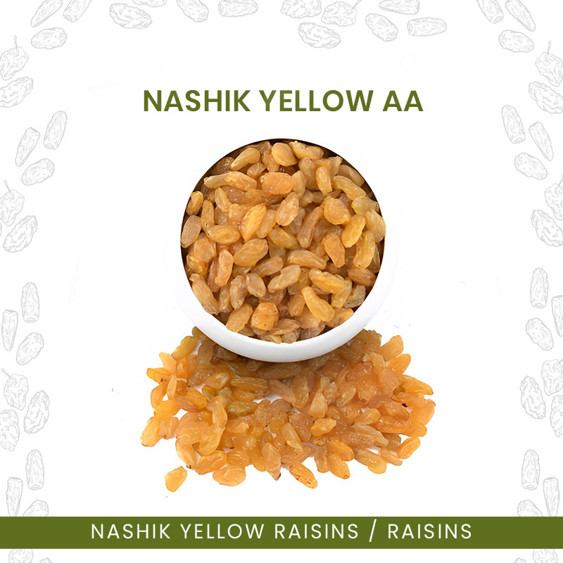 Nashik-Yellow-AA